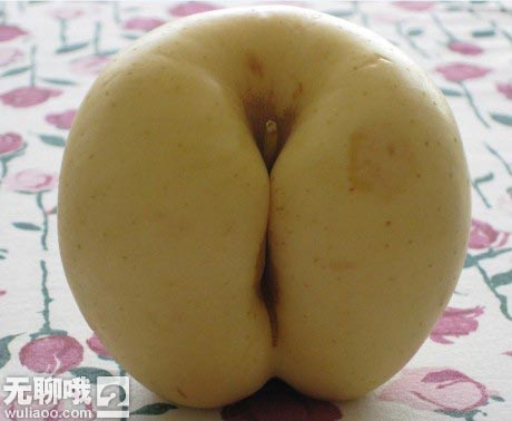 性感的苹果