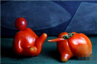 长得超囧的西红柿搞笑图片