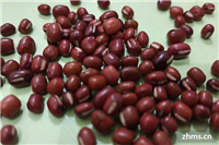 了解红豇豆的功效与作用，让我们吃出健康来